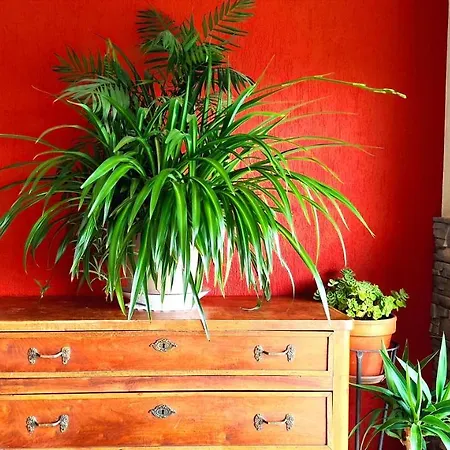 Hotel Ristorante Bellavista Con Veleso