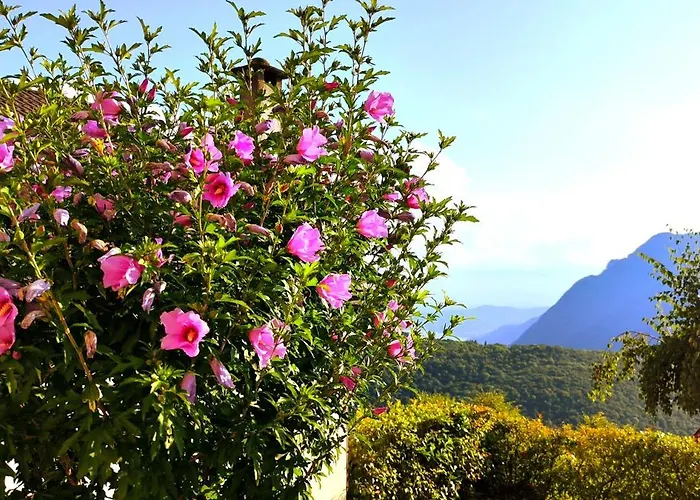 Hotel Ristorante Bellavista Con Locanda 2*