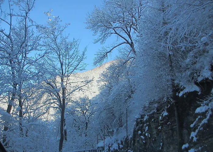 Ristorante Bellavista Con 2*