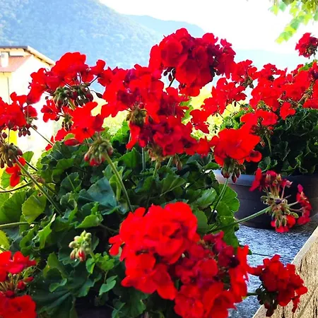 Ristorante Bellavista Con Hotel 2*