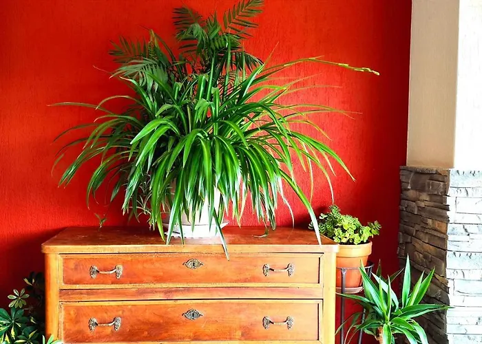 Hotel Ristorante Bellavista Con Veleso