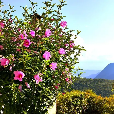 ホテル Ristorante Bellavista Con 2*